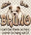 Click image for larger version

Name:	bruno.gif
Views:	244
Size:	104.0 KB
ID:	497908
